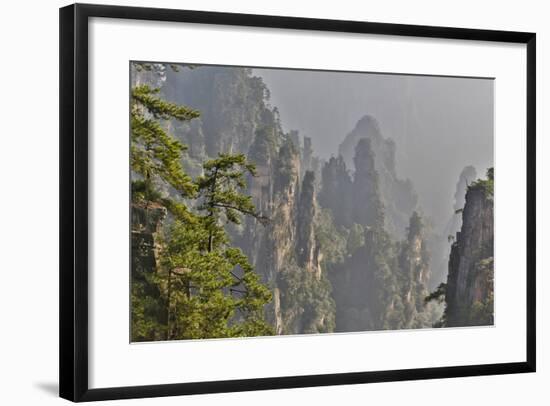 China, Hallelujah Mountains, Wulingyuan, Landscape and Many Peaks-Darrell Gulin-Framed Photographic Print