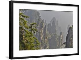 China, Hallelujah Mountains, Wulingyuan, Landscape and Many Peaks-Darrell Gulin-Framed Photographic Print