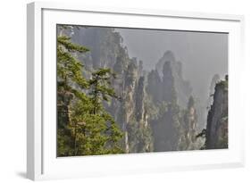 China, Hallelujah Mountains, Wulingyuan, Landscape and Many Peaks-Darrell Gulin-Framed Photographic Print