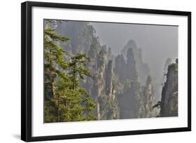 China, Hallelujah Mountains, Wulingyuan, Landscape and Many Peaks-Darrell Gulin-Framed Photographic Print