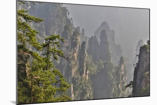 China, Hallelujah Mountains, Wulingyuan, Landscape and Many Peaks-Darrell Gulin-Mounted Photographic Print