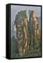 China, Hallelujah Mountains, Wulingyuan, Landscape and Many Peaks-Darrell Gulin-Framed Stretched Canvas