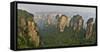 China, Hallelujah Mountains, Wulingyuan, Landscape and Many Peaks-Darrell Gulin-Framed Stretched Canvas