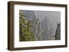 China, Hallelujah Mountains, Wulingyuan, Landscape and Many Peaks-Darrell Gulin-Framed Photographic Print