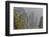 China, Hallelujah Mountains, Wulingyuan, Landscape and Many Peaks-Darrell Gulin-Framed Photographic Print