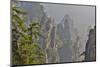 China, Hallelujah Mountains, Wulingyuan, Landscape and Many Peaks-Darrell Gulin-Mounted Photographic Print