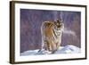 China, Harbin, Siberian Tiger Park. Siberian Tiger in Minus 31 Degree Weather-Jaynes Gallery-Framed Photographic Print