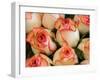 China, Hong Kong. Closeup of roses at a flower market.-Julie Eggers-Framed Photographic Print