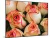 China, Hong Kong. Closeup of roses at a flower market.-Julie Eggers-Mounted Photographic Print