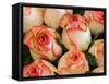 China, Hong Kong. Closeup of roses at a flower market.-Julie Eggers-Framed Stretched Canvas