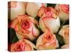 China, Hong Kong. Closeup of roses at a flower market.-Julie Eggers-Stretched Canvas