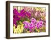 China, Hong Kong. Flower market on the street.-Terry Eggers-Framed Photographic Print