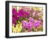 China, Hong Kong. Flower market on the street.-Terry Eggers-Framed Photographic Print