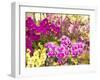 China, Hong Kong. Flower market on the street.-Terry Eggers-Framed Photographic Print