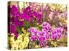 China, Hong Kong. Flower market on the street.-Terry Eggers-Stretched Canvas