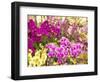 China, Hong Kong. Flower market on the street.-Terry Eggers-Framed Photographic Print