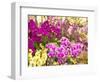 China, Hong Kong. Flower market on the street.-Terry Eggers-Framed Photographic Print