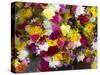 China, Hong Kong. Flower market on the street.-Terry Eggers-Stretched Canvas