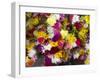 China, Hong Kong. Flower market on the street.-Terry Eggers-Framed Photographic Print