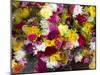 China, Hong Kong. Flower market on the street.-Terry Eggers-Mounted Photographic Print