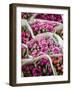 China, Hong Kong. Flower market.-Julie Eggers-Framed Photographic Print