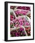 China, Hong Kong. Flower market.-Julie Eggers-Framed Photographic Print