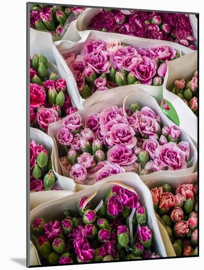 China, Hong Kong. Flower market.-Julie Eggers-Mounted Photographic Print