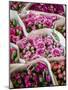 China, Hong Kong. Flower market.-Julie Eggers-Mounted Photographic Print