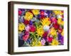 China, Hong Kong. Flower market.-Julie Eggers-Framed Photographic Print