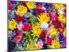 China, Hong Kong. Flower market.-Julie Eggers-Mounted Photographic Print