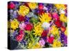 China, Hong Kong. Flower market.-Julie Eggers-Stretched Canvas