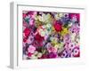 China, Hong Kong. Flower market.-Julie Eggers-Framed Photographic Print