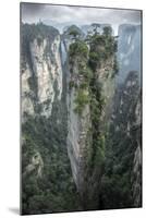 China, Hunan Province, Tianzi Mountains. Sunrise on mountain landscape.-Jaynes Gallery-Mounted Photographic Print