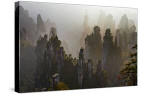 China, Hunan Province, Zhangjiajie National Forest Park-Tuul And Bruno Morandi-Stretched Canvas