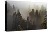 China, Hunan Province, Zhangjiajie National Forest Park-Tuul And Bruno Morandi-Stretched Canvas