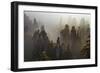 China, Hunan Province, Zhangjiajie National Forest Park-Tuul And Bruno Morandi-Framed Photographic Print