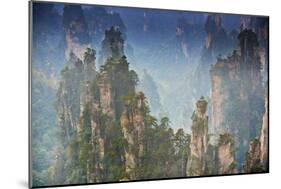 China, Hunan Province, Zhangjiajie National Forest Park-Tuul And Bruno Morandi-Mounted Photographic Print