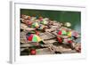 China, Li River, Rafts with Colourful Sunshades-Catharina Lux-Framed Photographic Print