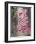 China, Macau, A-Ma Temple, Rock Garden-Gavin Hellier-Framed Photographic Print