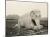 China - Ming Tombs Outside Beijing-null-Mounted Photographic Print