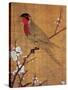 China: Parakeet-Emperor Hui-tsung-Stretched Canvas