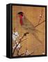 China: Parakeet-Emperor Hui-tsung-Framed Stretched Canvas