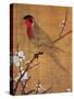 China: Parakeet-Emperor Hui-tsung-Stretched Canvas