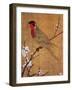 China: Parakeet-Emperor Hui-tsung-Framed Giclee Print