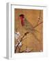 China: Parakeet-Emperor Hui-tsung-Framed Giclee Print