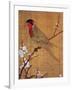 China: Parakeet-Emperor Hui-tsung-Framed Giclee Print
