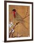 China: Parakeet-Emperor Hui-tsung-Framed Giclee Print