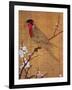 China: Parakeet-Emperor Hui-tsung-Framed Giclee Print