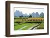 China, Rice Fields at the Yulong River, Landscape, Karst Mountains-Catharina Lux-Framed Photographic Print