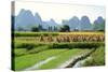 China, Rice Fields at the Yulong River, Landscape, Karst Mountains-Catharina Lux-Stretched Canvas